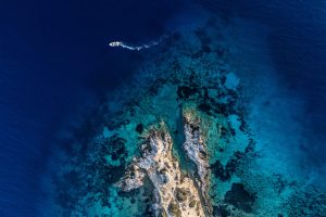 REVIVE OUR OCEAN
